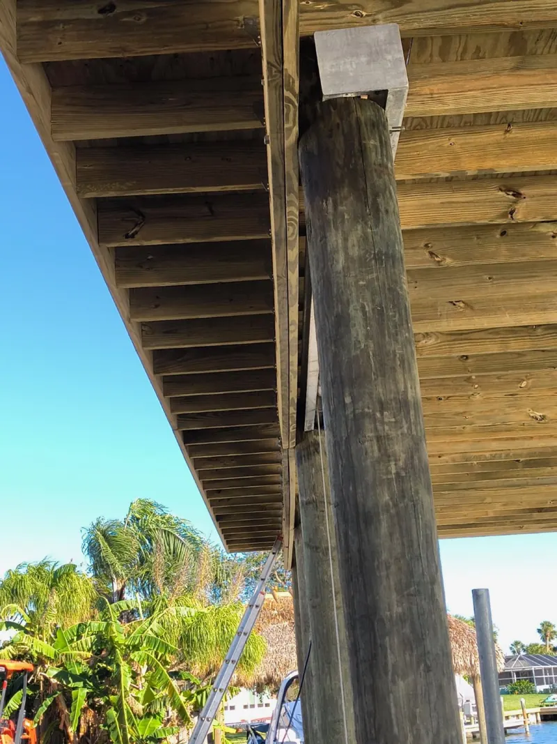 Timber piling and framing under a dock roof