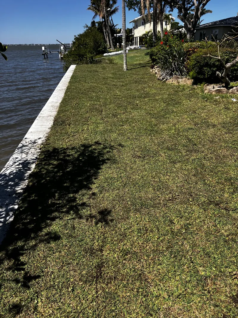 Concrete seawall cap along the river